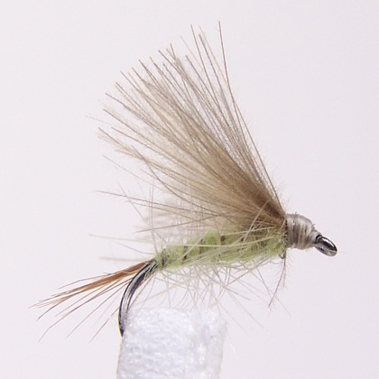 Ephemere jaune CDC E22