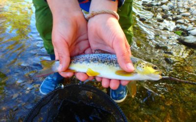 Stage pêche truite – Made in River -vacances de pâques