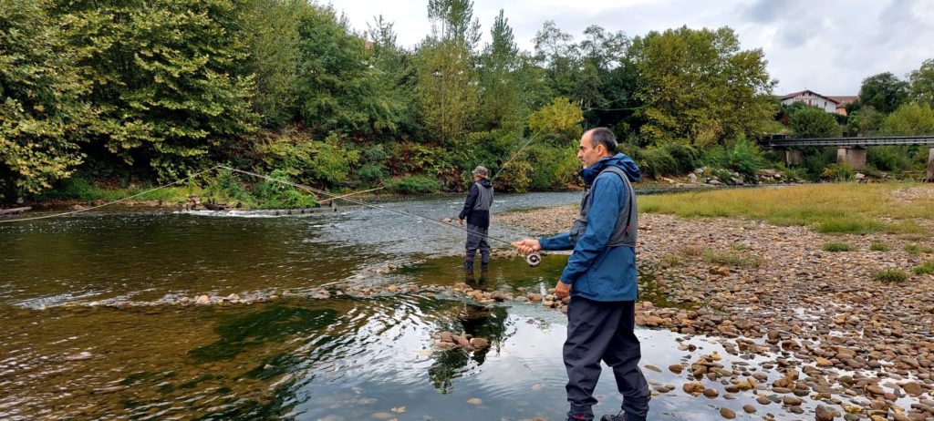 initiation pêche à la mouche en seconde catégorie sur des poissons ludiques: chevesnes, ablettes, vandoises