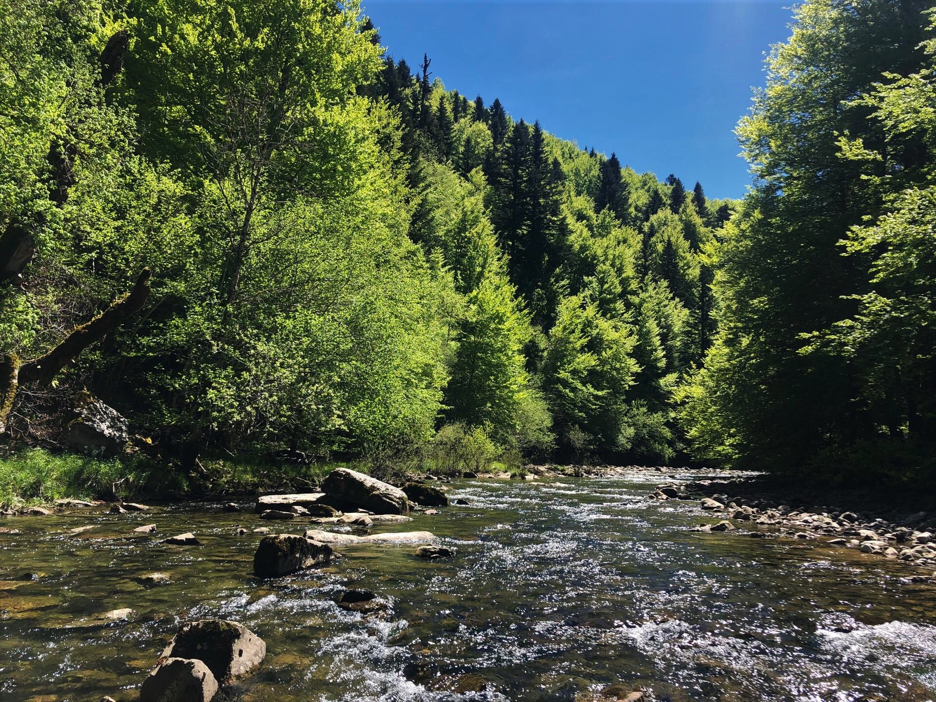 La rivière Irati au coeur de la forêt