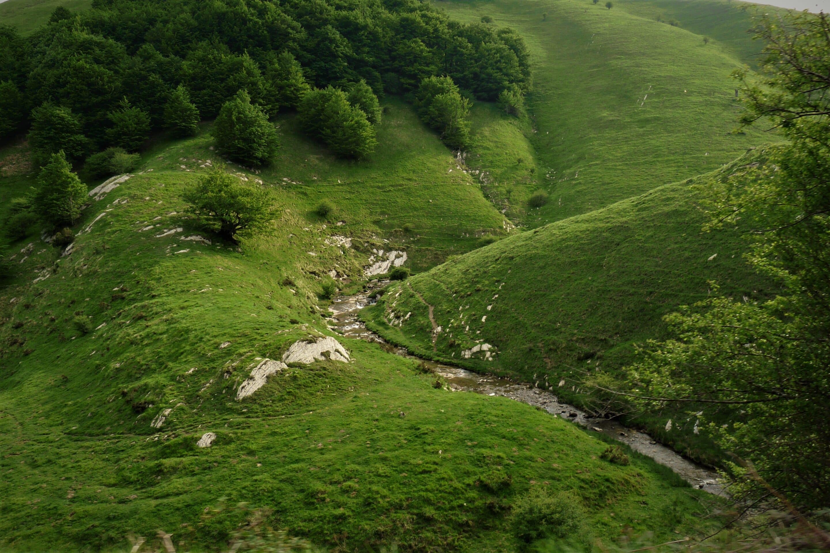 La rivière au milieu des pâturages