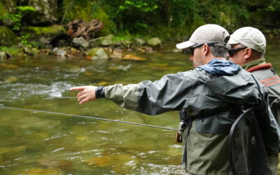 Ouverture truite 2026: à l’aube d’une 10ème saison de guide de pêche sur les Nives